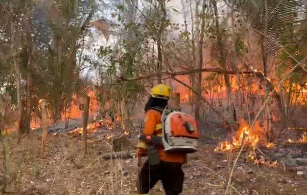 Incêndio na Chapada dos Veadeiros já consumiu 87 mil hectares do Cerrado