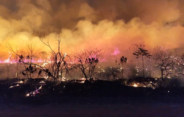 Incêndio no Parque Estadual dos Pireneus já consumiu pelo menos 783 hectares