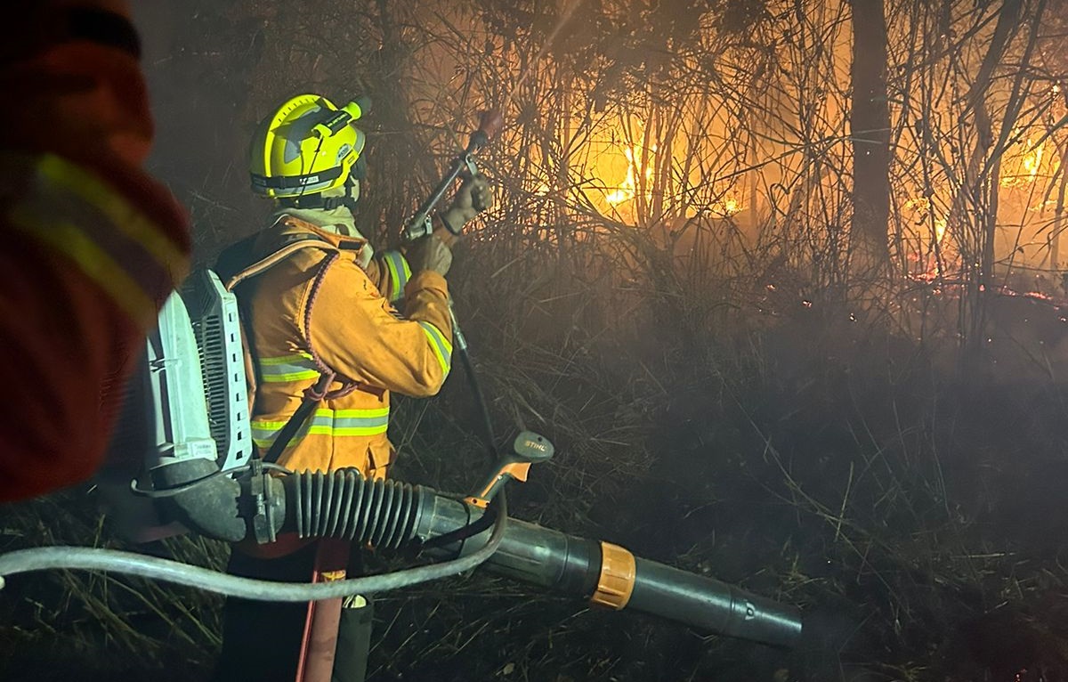 Incêndio nos parques Altamiro e João Leite atinge 239 hectares  