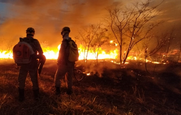 Incêndios colocam oito cidades goianas em situação de emergência 