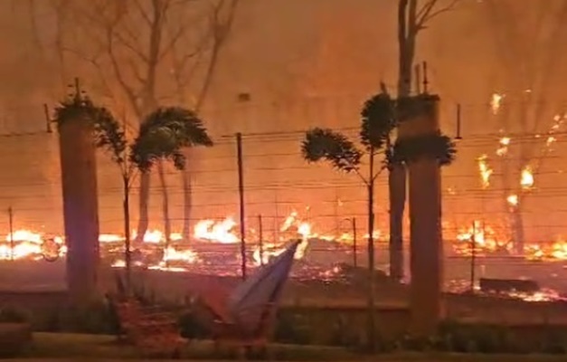 Incêndios florestais deixam 46 cidades de São Paulo em alerta