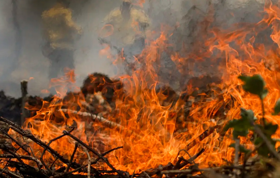 Incêndios florestais geram prejuízos de R$ 4,8 milhões a Goiás em uma década