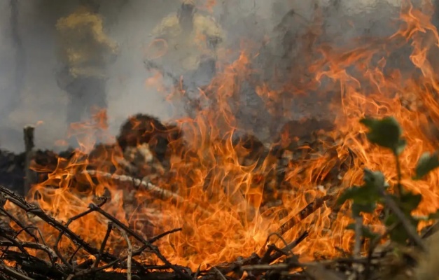 Incêndios no Pantanal já consumiram este ano mais de 15% do bioma