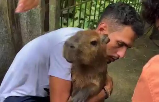 Influenciador consegue guarda provisória da Capivara Filó; entenda a disputa