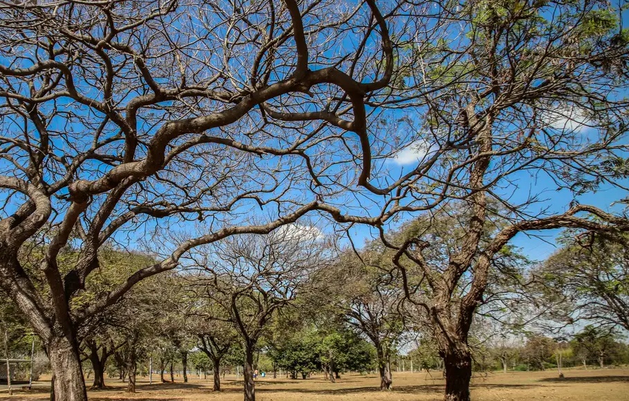 Inmet alerta sobre baixa umidade em Goiás