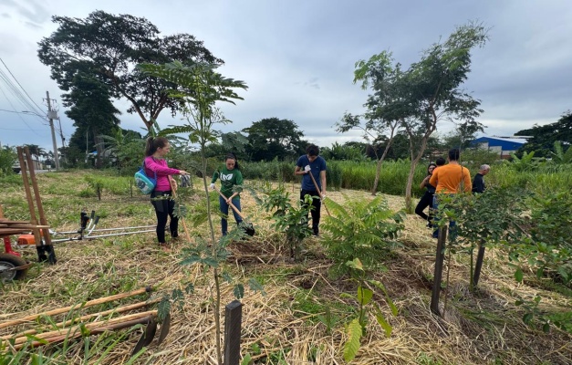 Instituto Plantadores de Água faz reflorestamento em Goiânia