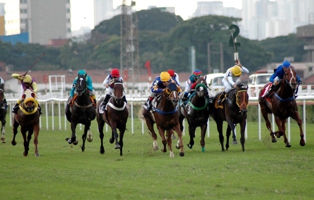 Jockey Club de São Paulo realiza a Copa dos Criadores 2025
