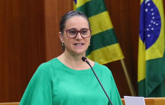 Kátia Maria apresenta pacote de projetos ambientais urbanos em Goiânia