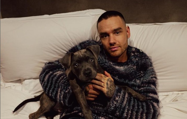 Liam Payne: exame toxicológico aponta que cantor tinha drogas em seu organismo, diz jornal