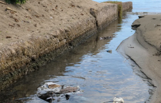 Litoral de São Paulo tem recorde de praias impróprias neste ano