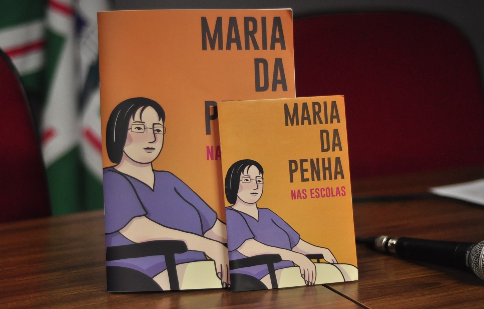 Livro ‘Maria da Penha nas Escolas’ será lançado durante debate em Goiânia 