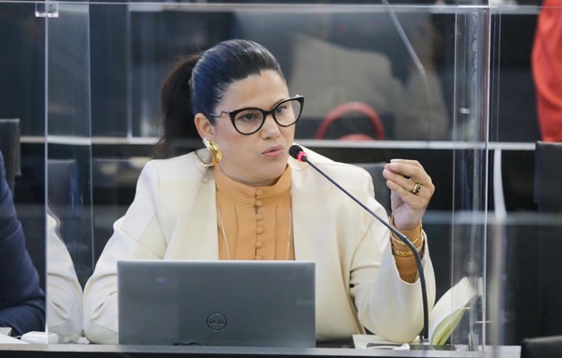 Ludmila Torres é nomeada para a Comissão Especial de Direito de Família