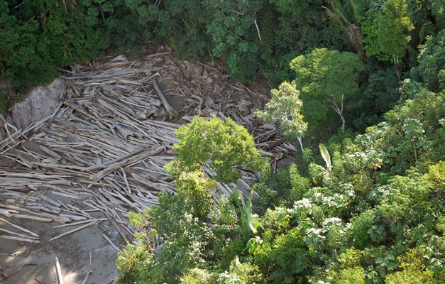 Maioria do STF define que multa por crime ambiental é imprescritível