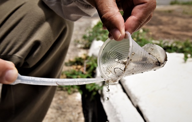 Maioria dos criadouros do Aedes aegypti em Goiás está no lixo domiciliar