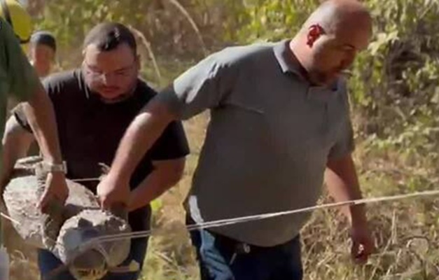 Mais de 100 jacarés são retirados da Lagoa Grande em Porangatu