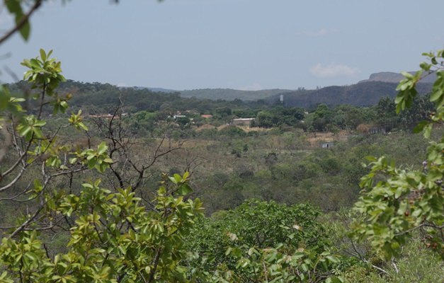 Mais de 60% dos brasileiros desconhecem dimensão do desmatamento do Cerrado