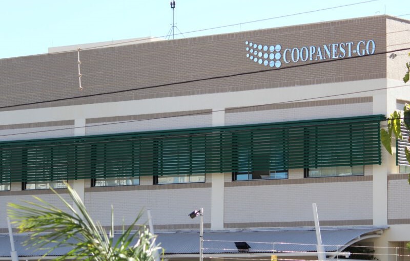 Médicos anestesiologistas anunciam paralisação de serviços em Goiânia 