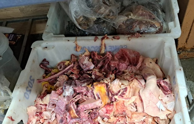 Meia tonelada de carne estragada é apreendida em Aparecida de Goiânia