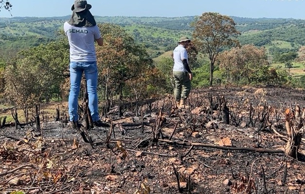 Meio Ambiente gera 257 laudos de desmatamento em uma semana