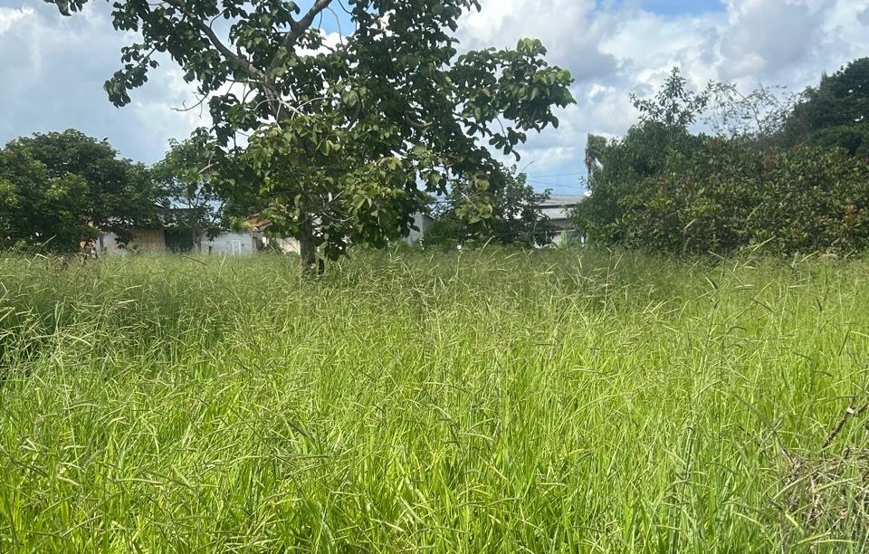 Moradores cobram roçagem de praça abandonada em bairro na saída para Guapó