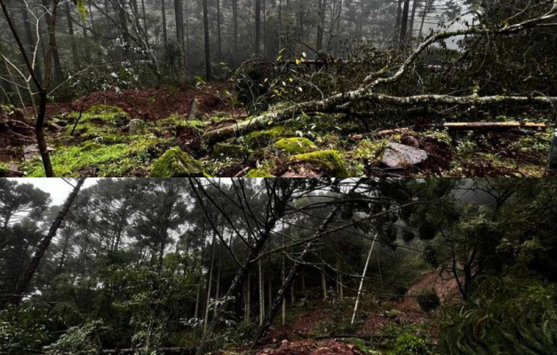 Moradores de Caxias do Sul relatam tremores de terra na madrugada