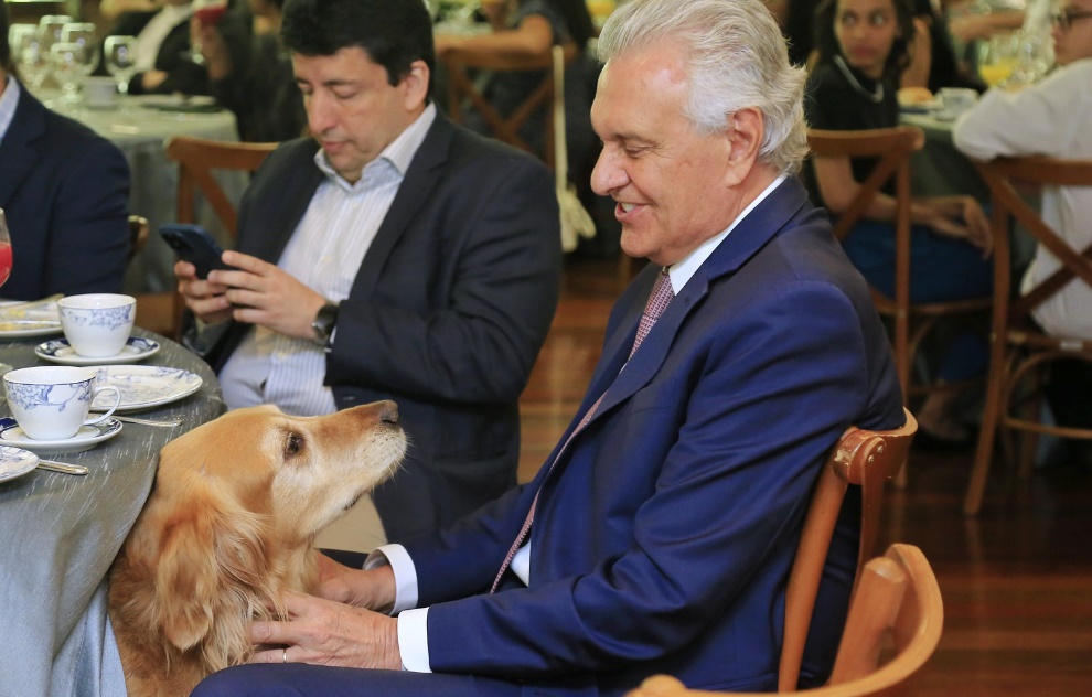 Morre Balu, cachorro do governador Ronaldo Caiado