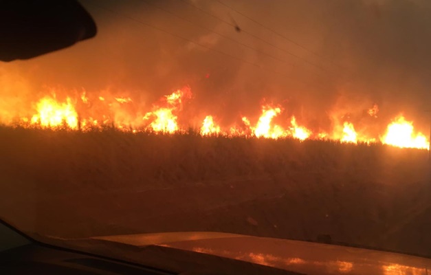 MPGO passa a acompanhar ações de prevenção e combate a incêndios em Goiás