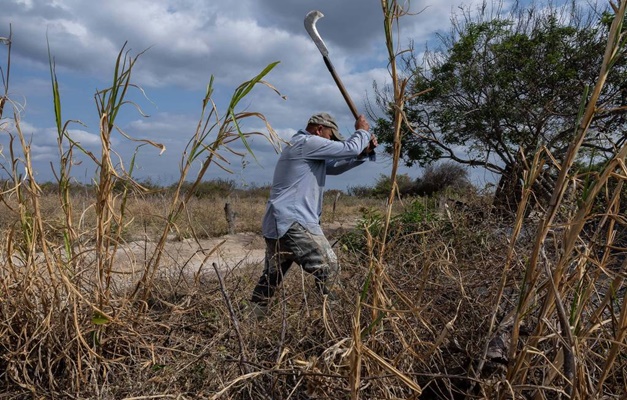 Mudanças climáticas afetam saúde de 70% dos trabalhadores no mundo