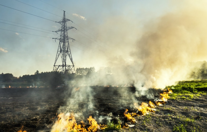 Mudanças climáticas elevam riscos de incêndios e sobrecarregam rede elétrica