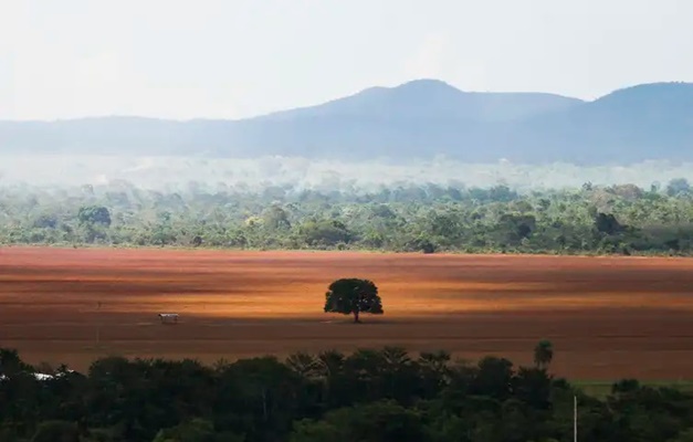 Municípios têm prazo até 26/1 para realizarem conferências de meio ambiente