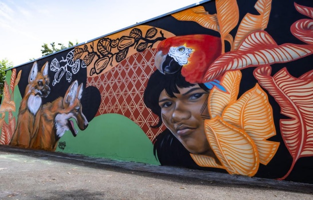 Mural de Jessica Muriel leva arte e cores ao Setor Negrão de Lima em Goiânia