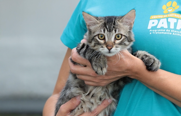Mutirão de Aparecida de Goiânia terá evento de adoção de animais