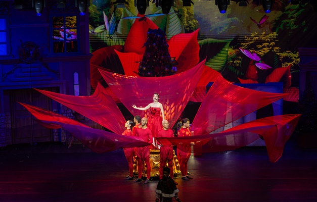 Natal do Bem 2025 abre chamamento público para contratar artistas goianos