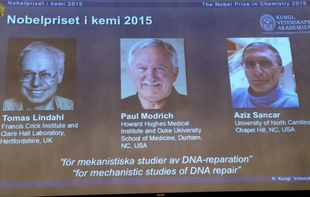 Nobel de Química sai para três pesquisadores da reparação de DNA