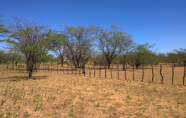Nordeste goiano enfrenta pior seca desde novembro de 2024