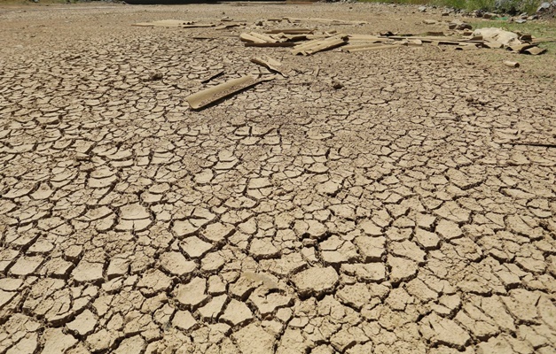 Nordeste tem a pior seca em 50 anos