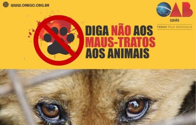 OAB-GO lança campanha digital 'Diga não aos maus-tratos aos animais'