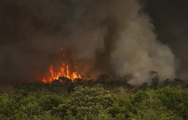 ONG desenvolve técnicas inovadoras de prevenção e combate ao fogo