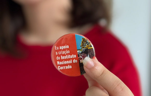 Painel aborda criação do Instituto Nacional do Cerrado e mudanças climáticas