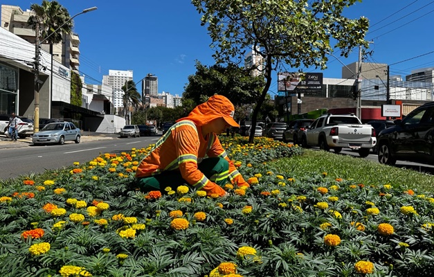 Paisagismo da Avenida 136 será replicado em outros pontos de Goiânia