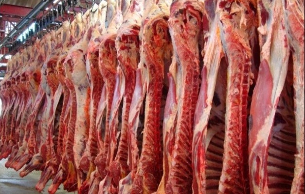 Parceiros comerciais anunciam embargo contra carnes brasileiras