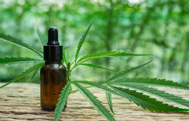 Parceria visa pesquisa e regulamentação de produtos derivados de cannabis