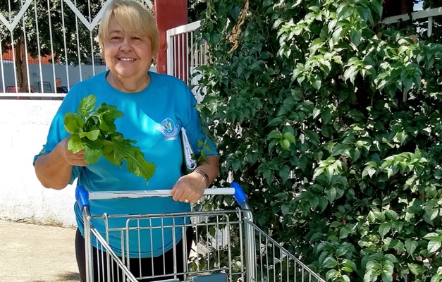 Parque Florata produz alimentos e doa a entidades filantrópicas goianas 