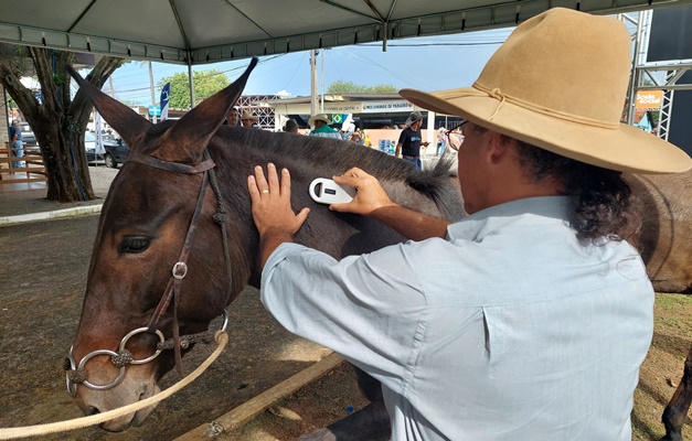Passaporte equestre de Goiás pode ser adotado em todo o Brasil