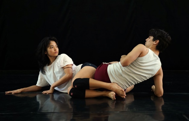 Peça de teatro “A Morte da Galinha Caipira” estreia em Goiânia