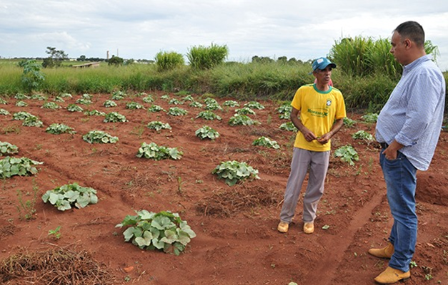 Pequenos agricultores de Rio Verde recebem R$ 1,8 milhões em crédito social 