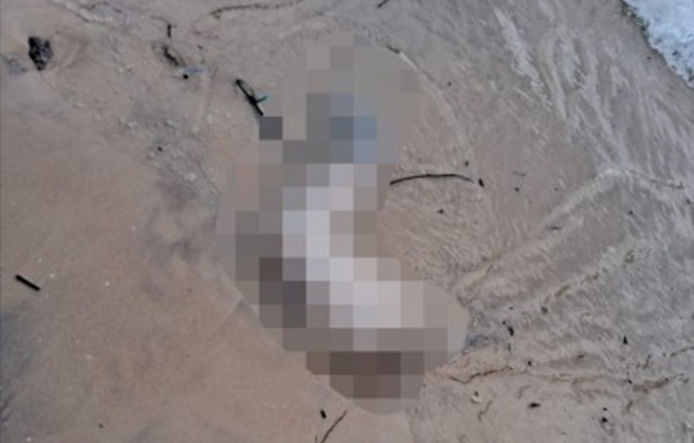Perna humana é encontrada em praia do Rio de Janeiro