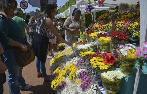 Pesquisa do Procon Goiás aponta variação de até 585% em preço de flores