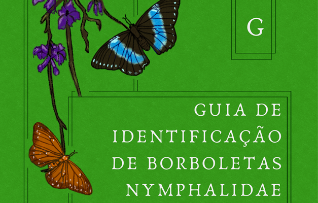Pesquisadoras lançam guia inédito para identificação de borboletas em Goiás