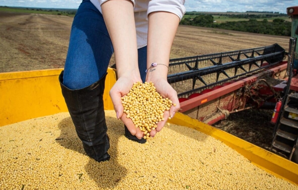 PIB de Goiás cresce 7,7% no primeiro trimestre de 2025